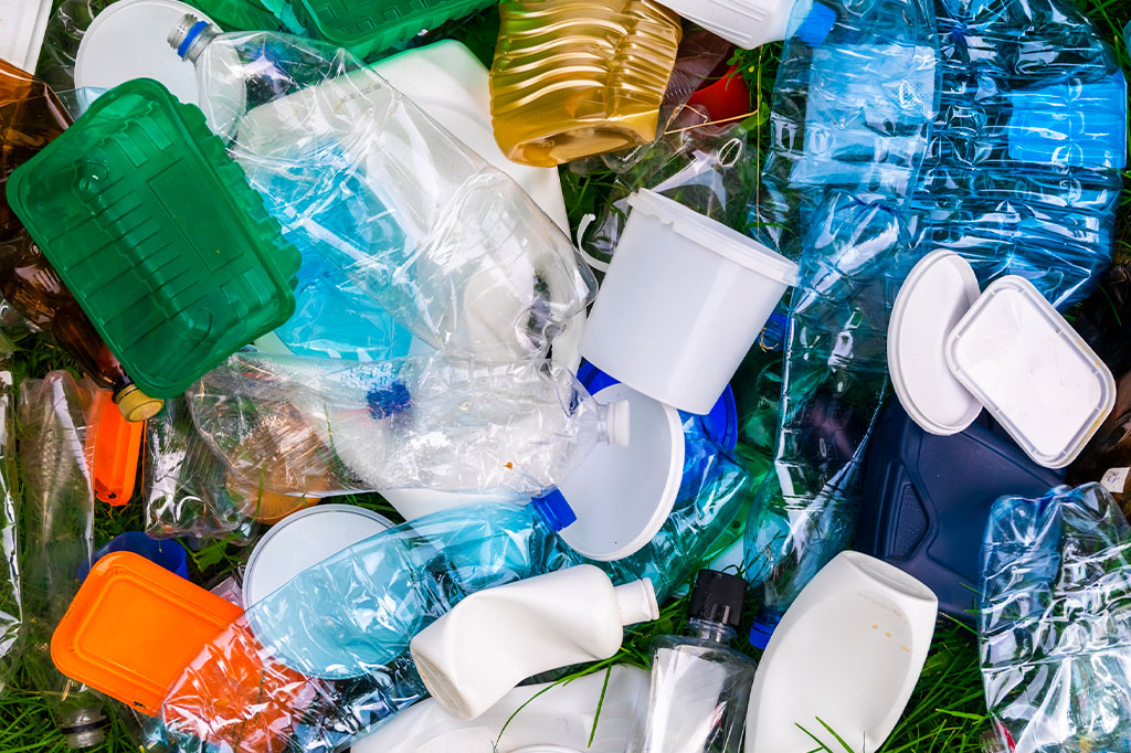 Novo estudo descobre fungos capazes de decompor plástico