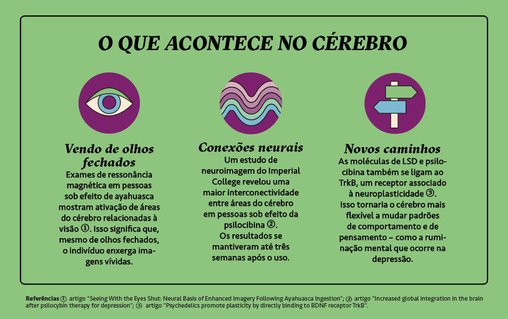 Infográficos sobre o que acontece no cérebro com o uso de LSD.