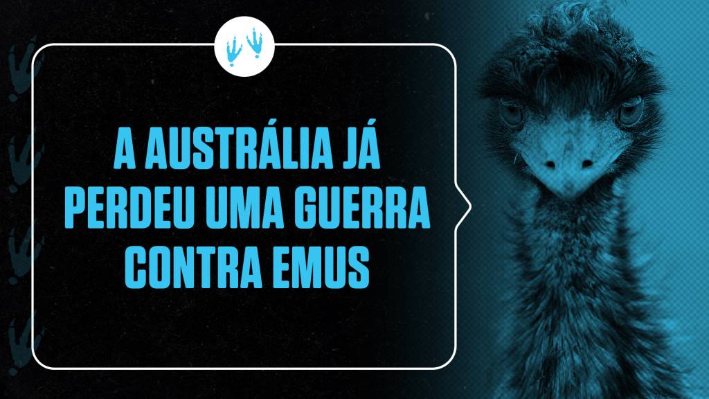 A Austrália já entrou em guerra com emus – e perdeu
