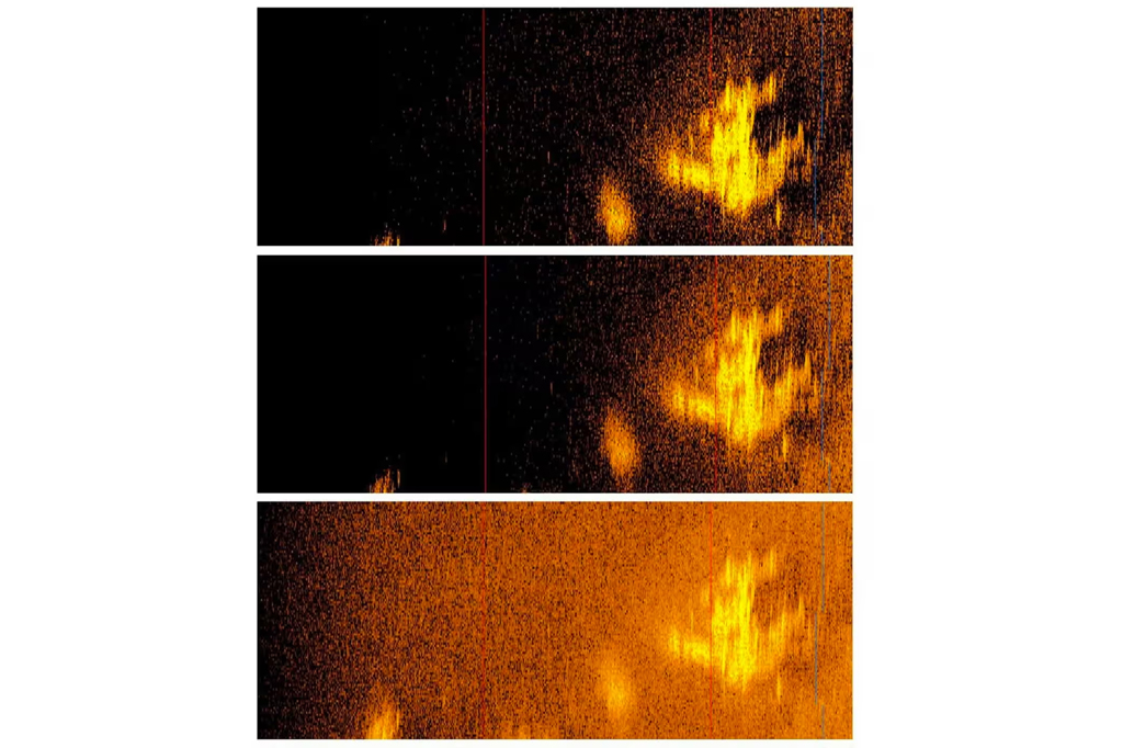 Imagem de sonar mostra o que poderia ser o avião que desapareceu durante o último vôo de Amelia Earhart em 1937