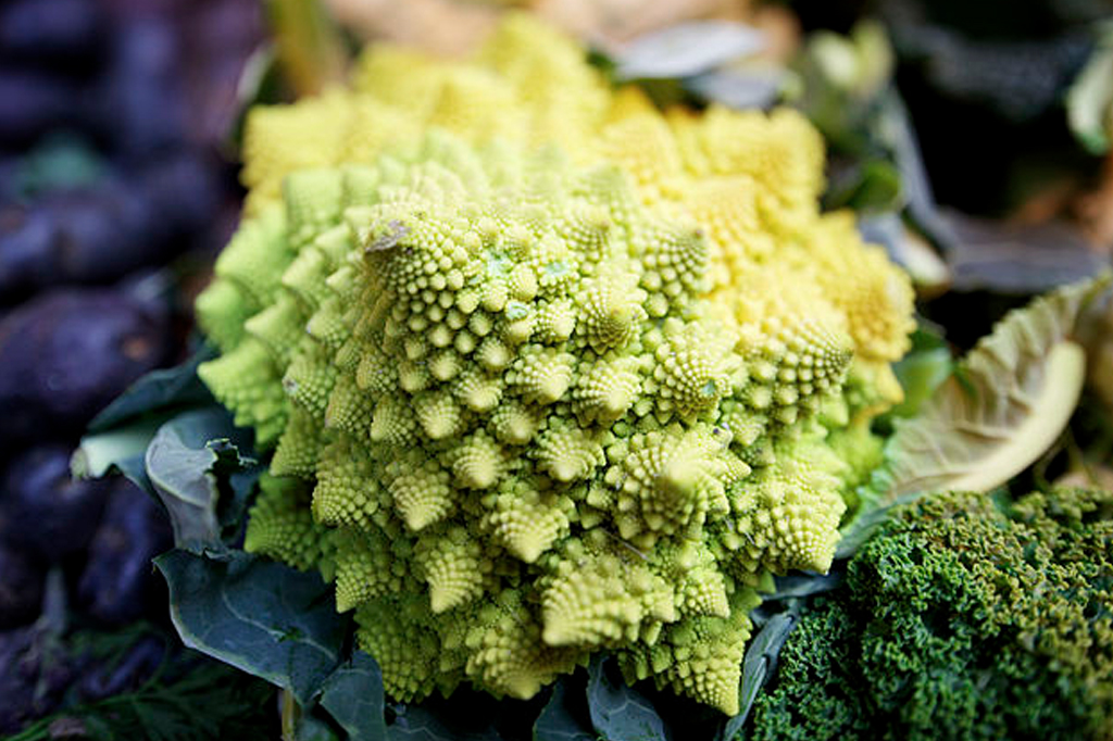 Romanesco broccoli.