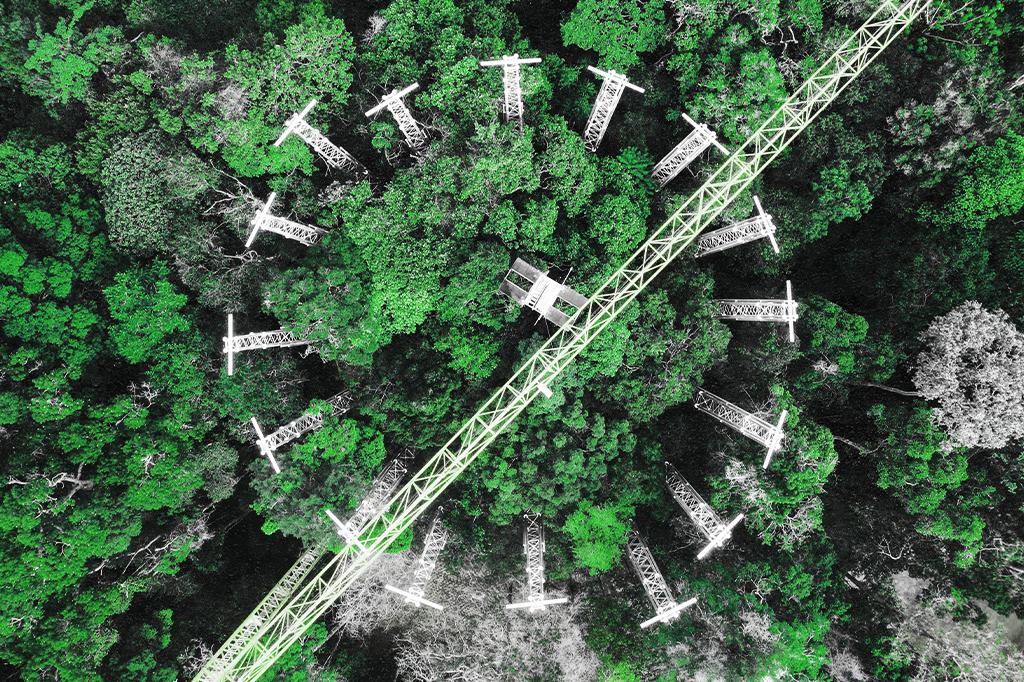 AmazonFACE: a “máquina do tempo” que levará a Amazônia para 2060