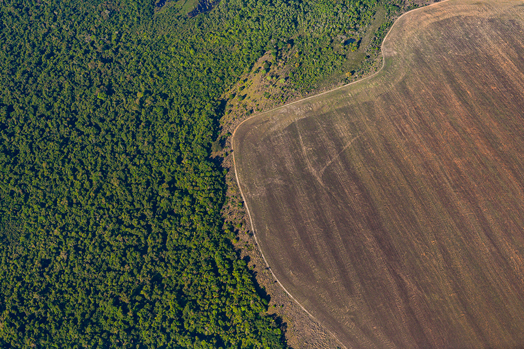 Visão aérea panorâmica da Floresta Amazônica parcialmente desmatada.