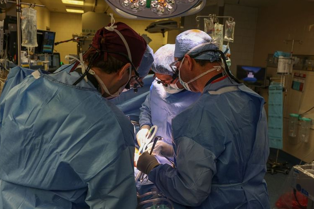 Cirurgiões realizam o primeiro teste genético do mundo transplante de rim de porco modificado em um ser humano vivo no Massachusetts General Hospital.