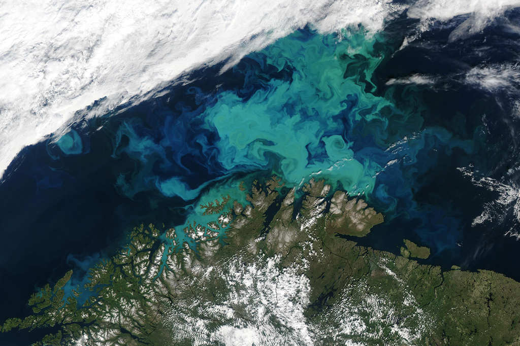 Floração de fitoplâncton perto da Noruega