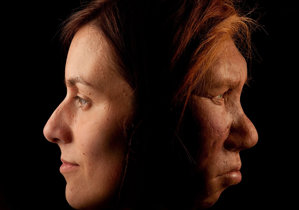 Imagem de duas mulheres de perfil. À esquerda, uma mulher moderna e, à direita, uma neandertal.
