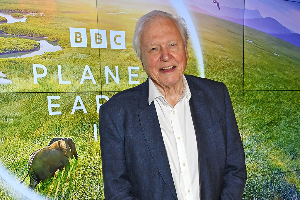Imagem do naturalista britânico David Attenborough na frente de um painel promocional do programa Planet Earth da BBC.