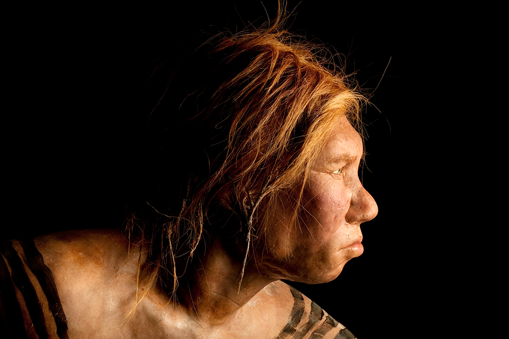 Cientistas descobrem neandertal com síndrome de Down que viveu até os 6 anos de idade