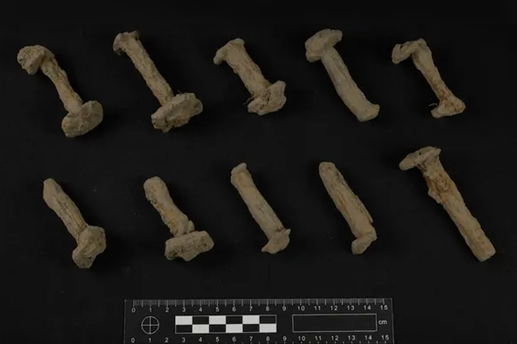 Túmulo de navio viking pode estar escondido debaixo de fazenda norueguesa