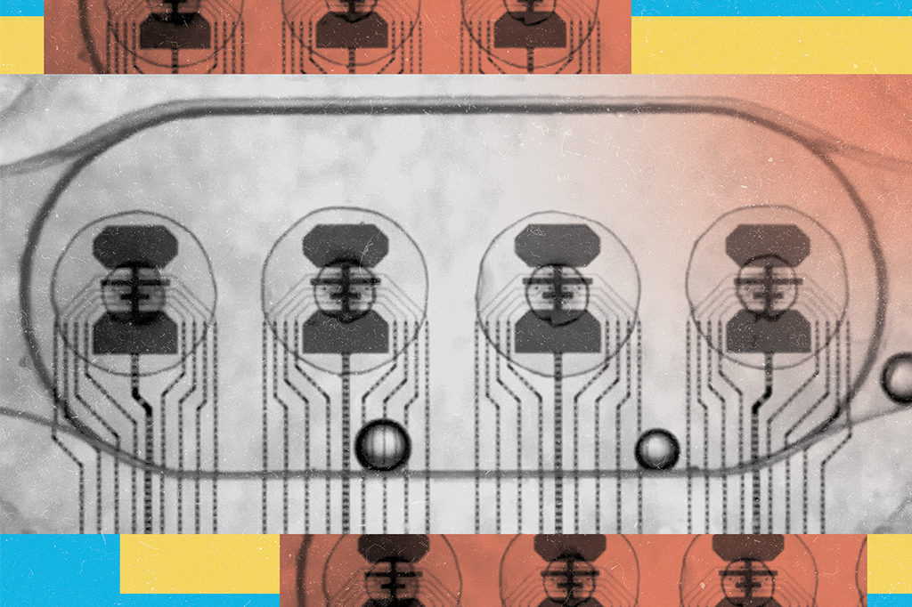 Empresa conecta “biocomputador” à internet
