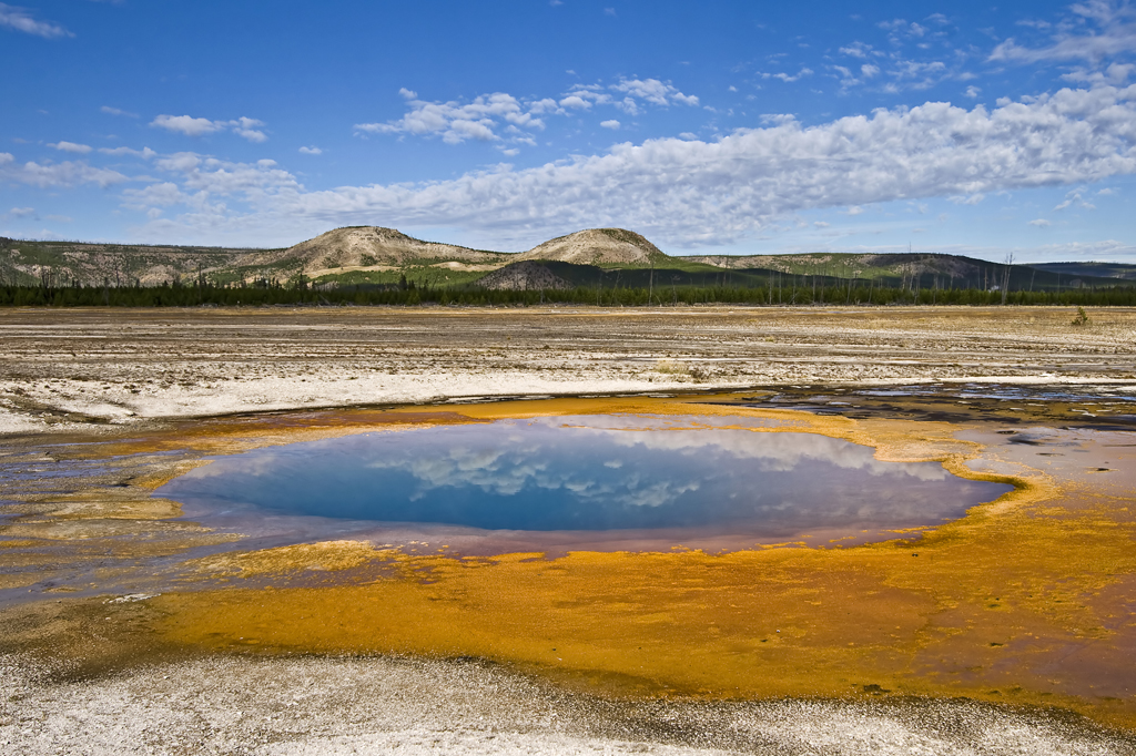 Águas termais de Yellowstone revelam papel dos vírus gigantes na evolução da vida