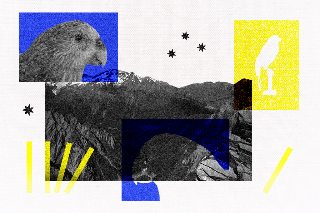 As montanhas da Nova Zelândia onde as aves vão para morrer