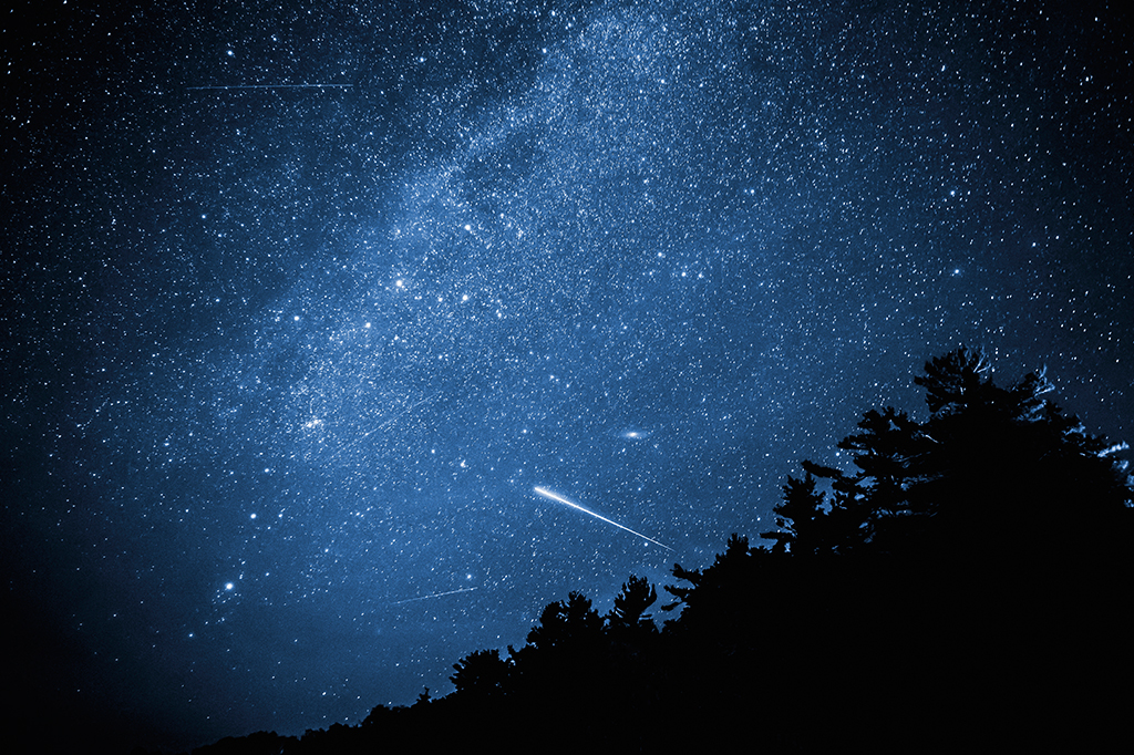 Chuva de estrelas cadentes. H&aacute; diversas estrelas no c&eacute;u e uma &aacute;rvore.