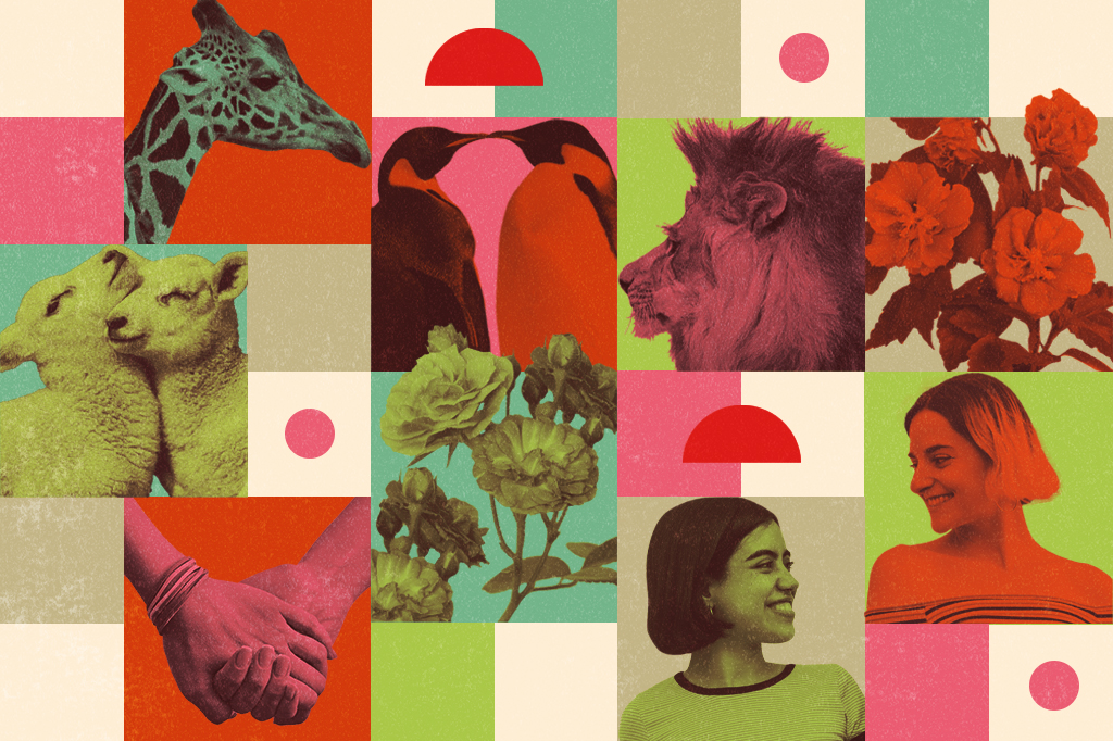 Colagem com animais, pessoas e flores, com efeitos de cor.