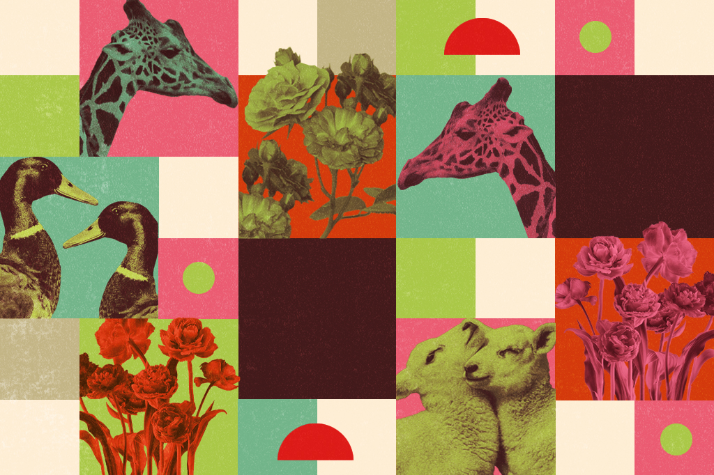 Colagem com animais que t&ecirc;m comportamentos homossexuais, como girafas, patos e ovelhas, com efeitos de cor e flores.