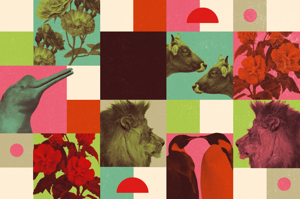 Colagem com animais que t&ecirc;m comportamentos homossexuais, como bois, le&otilde;es, pinguins e boto cor-de-rosa, com efeitos de cor e flores.