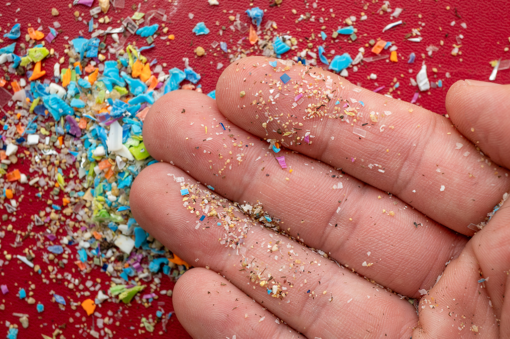 Pesquisadores brasileiros encontraram microplásticos em cérebros humanos