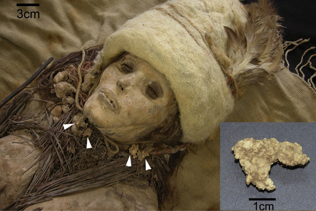 Queijo mais antigo do mundo tem DNA sequenciado pela primeira vez