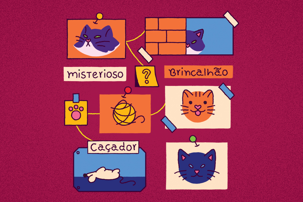 A cor de um gato tem a ver com o comportamento?