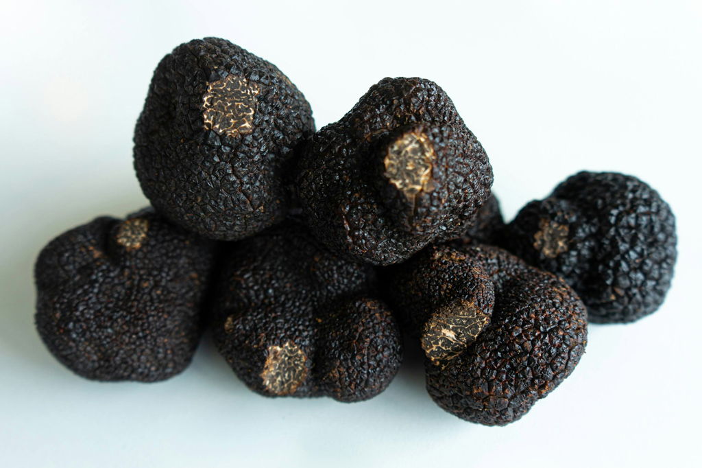 As palavras “tubérculo” e “tuberculose” têm a mesma origem?