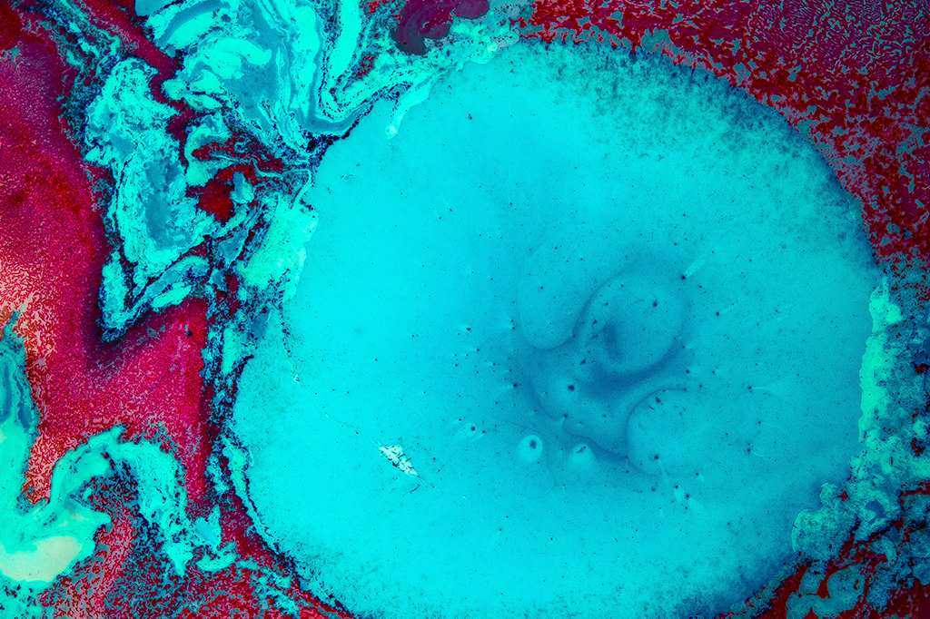 Entrevista: afinal, o que é a vida?