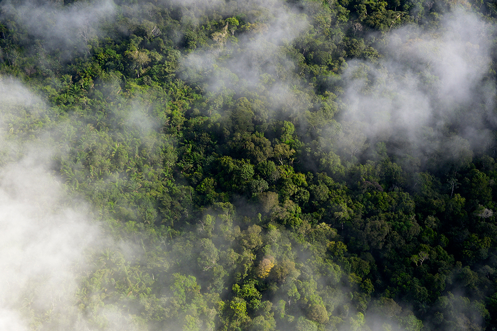 Arqueólogos encontram cidade portuguesa perdida do século 18 na Amazônia
