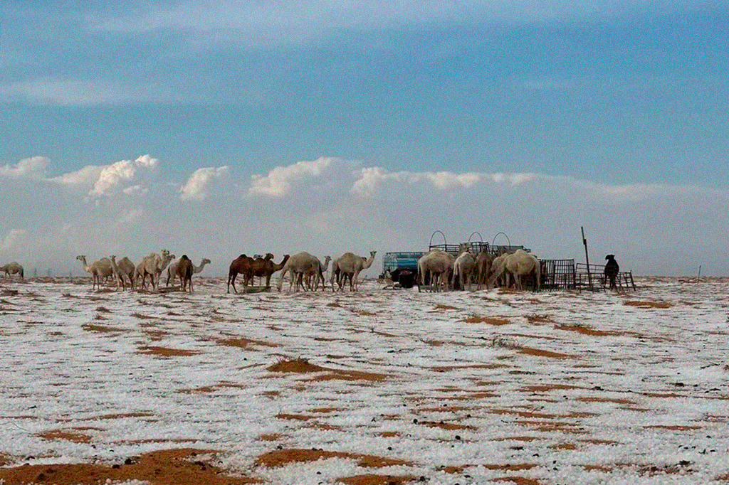 Deserto na Arábia Saudita recebe neve pela primeira vez