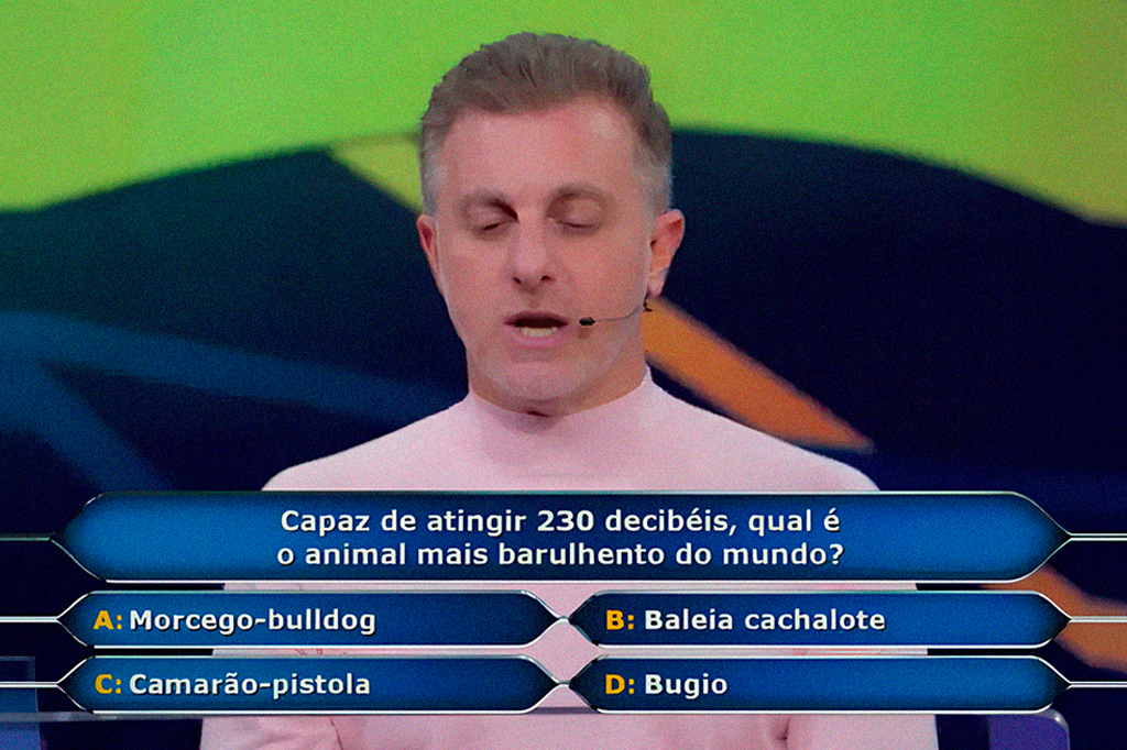 Pergunta de R$ 100 mil: qual o animal mais barulhento do mundo?