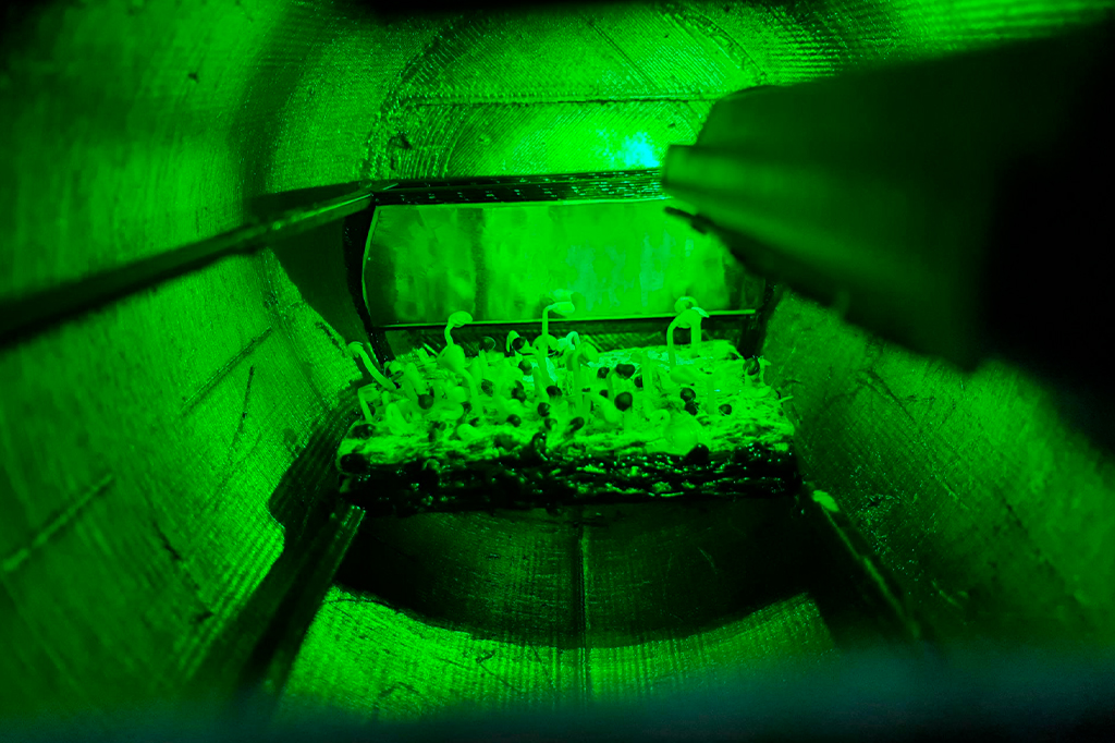 Um teste de exemplo inicial de um experimento ALEPH-1 usando uma vers&atilde;o impressa em 3D da c&acirc;mara de Lunaria One.