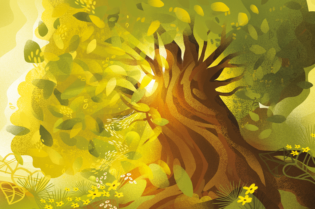 A busca da longevidade