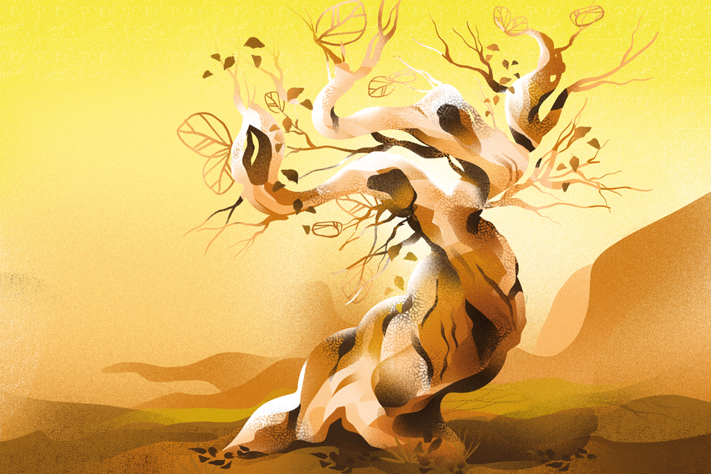 Ilustra&ccedil;&atilde;o de uma &aacute;rvore seca e retorcida.