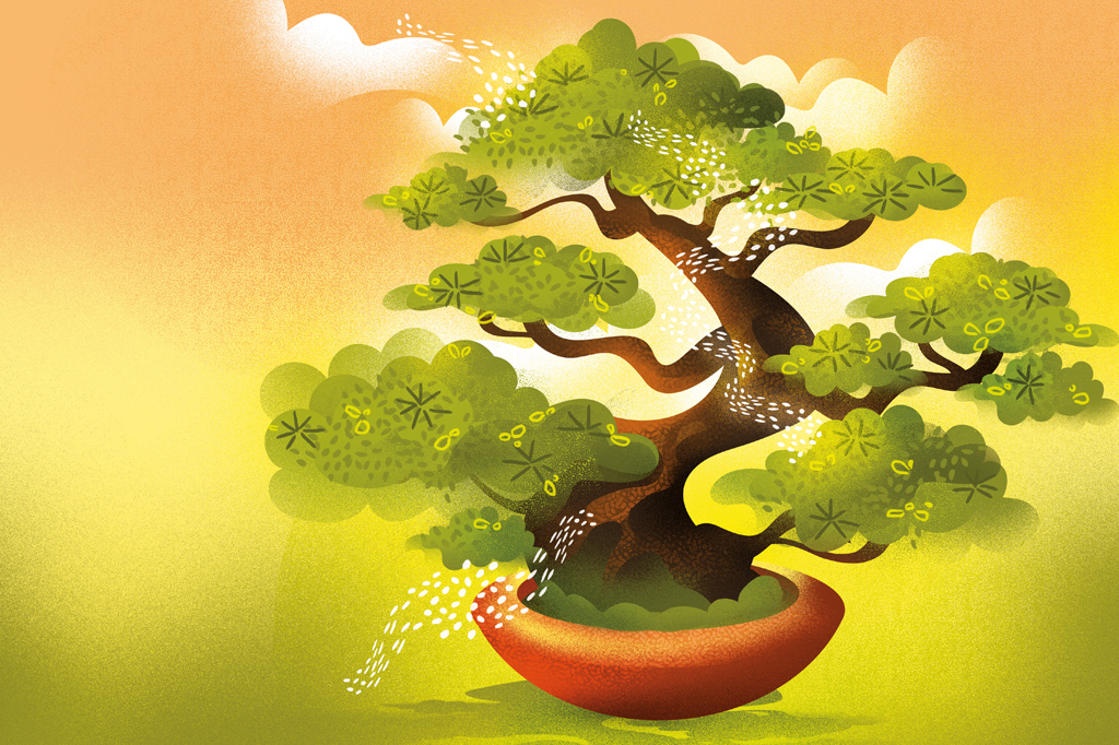 Ilustra&ccedil;&atilde;o de um bonsai.