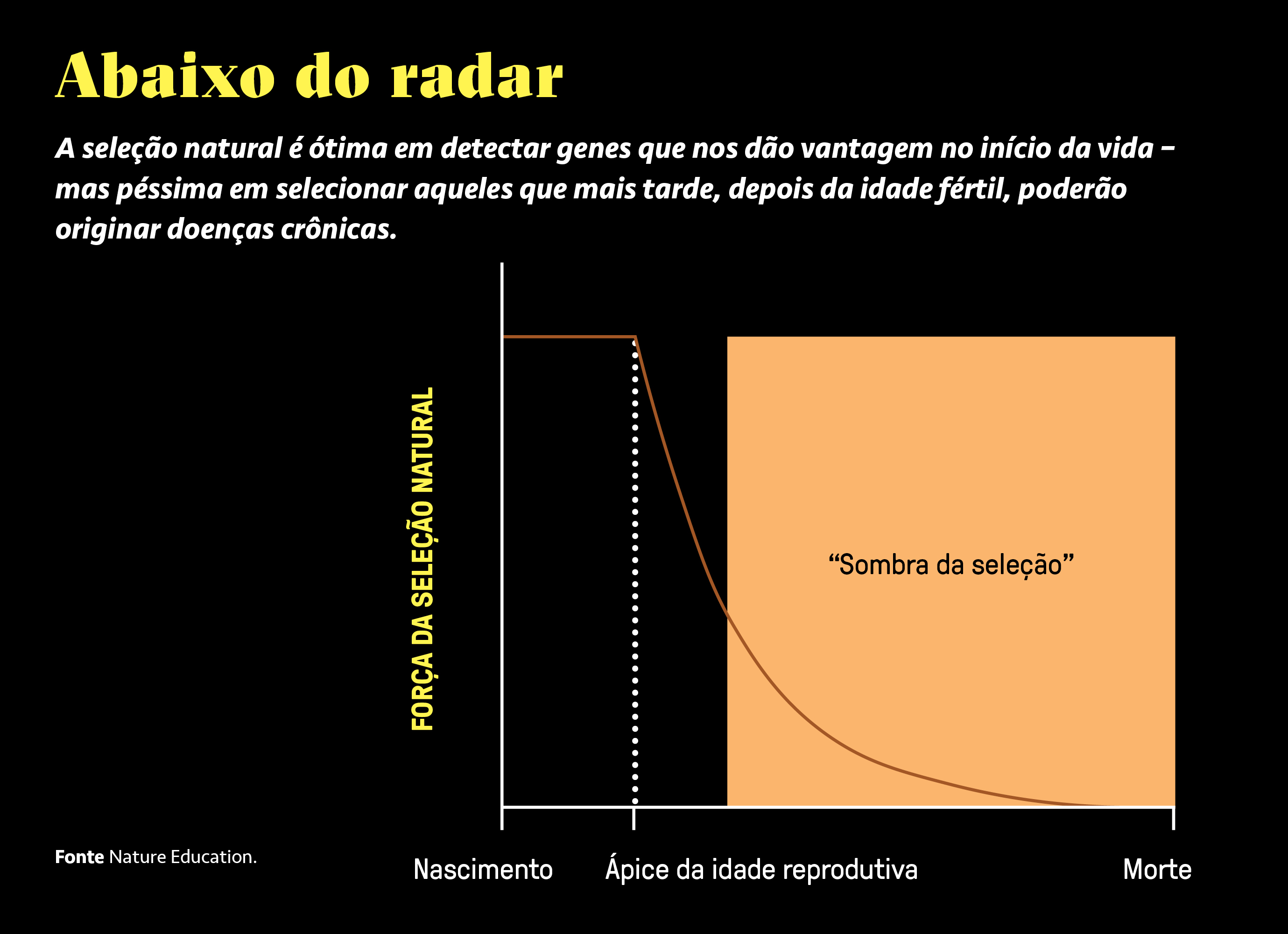 Gr&aacute;fico, em fundo preto, explicando como funciona a sele&ccedil;&atilde;o natural dos genes.