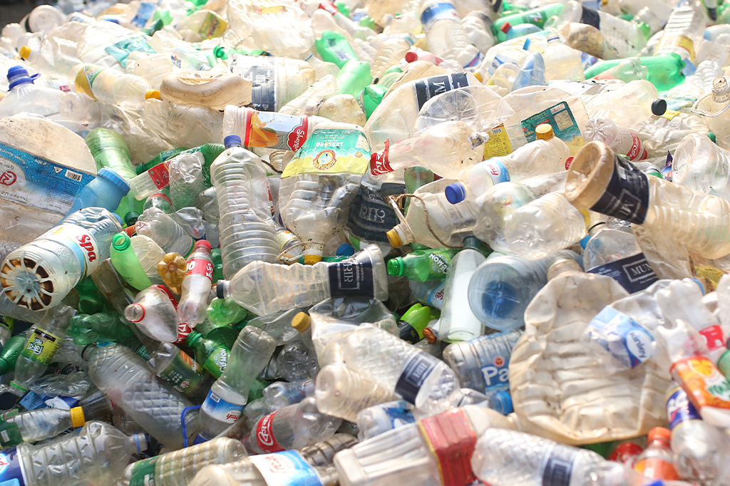 Esponja feita de ossos de lula e algodão pode absorver 99% dos microplásticos na água