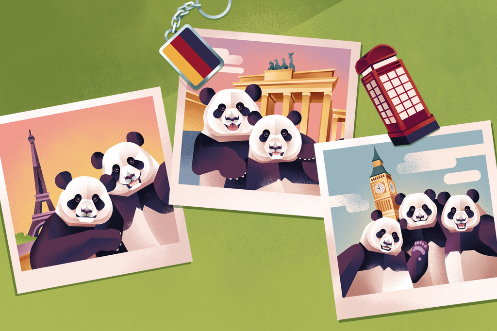 Ilustra&ccedil;&atilde;o, em fundo verde, de um chaveiro, um im&atilde; de geladeira e tr&ecirc;s fotos.