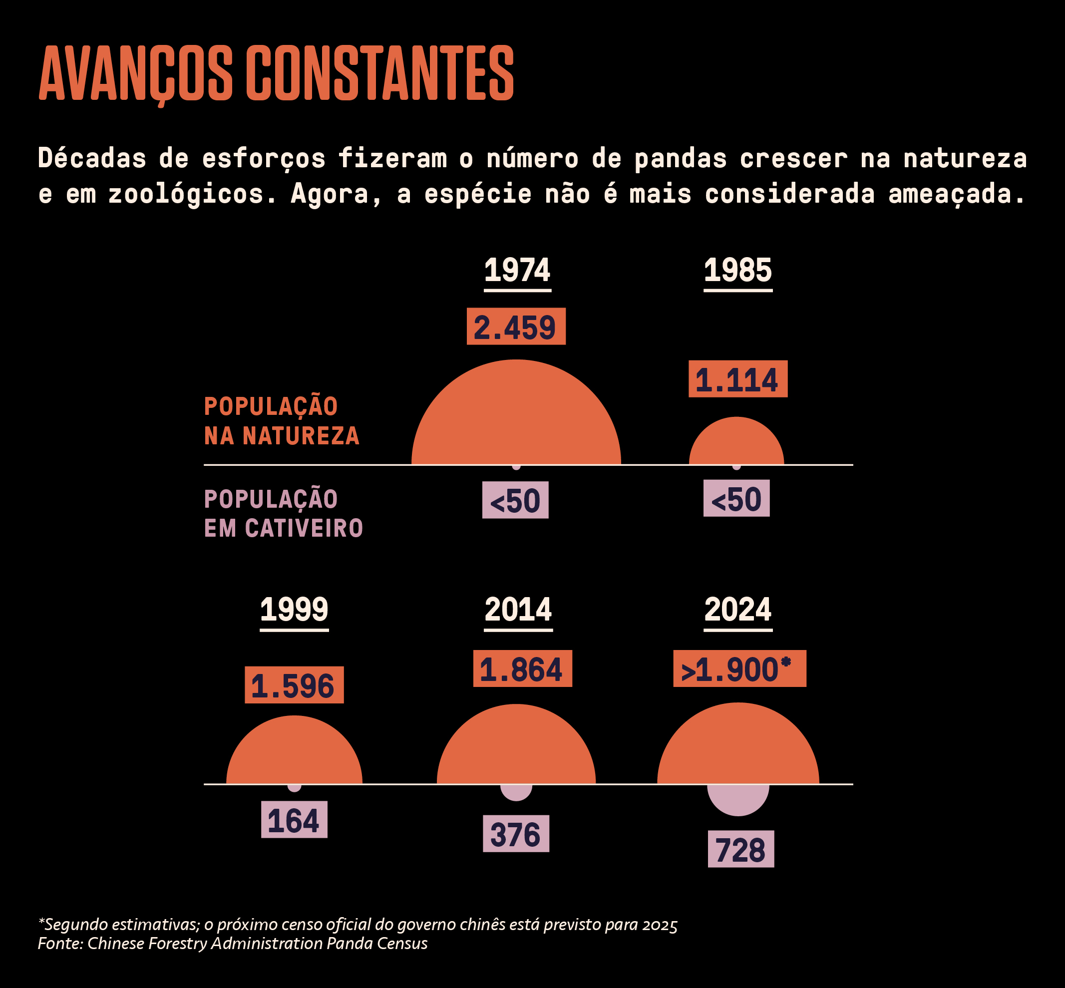 Infogr&aacute;fico, em fundo vpreto, sobre o aumento da popula&ccedil;&atilde;o de ursos pandas.