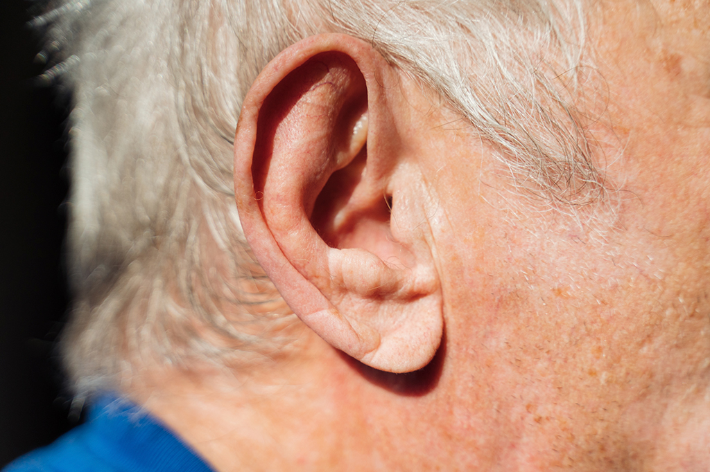 O músculo obsoleto que tenta mover suas orelhas quando você escuta algo difícil