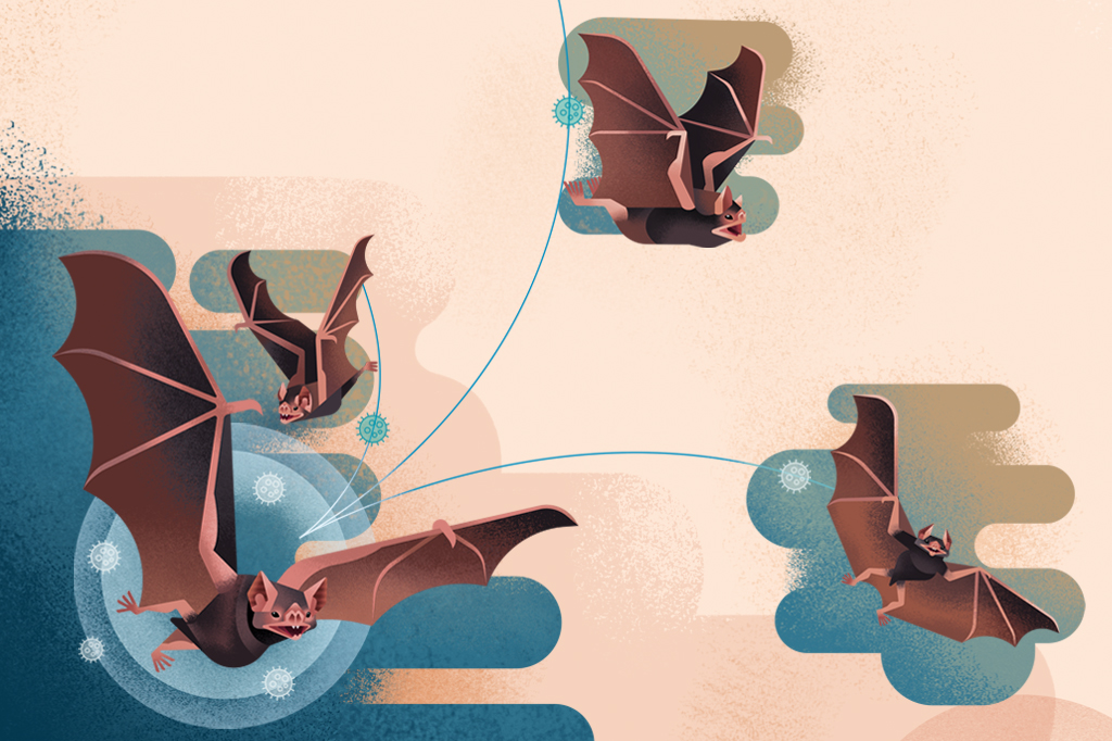 Ilustra&ccedil;&atilde;o de um grupo de morcegos voando.