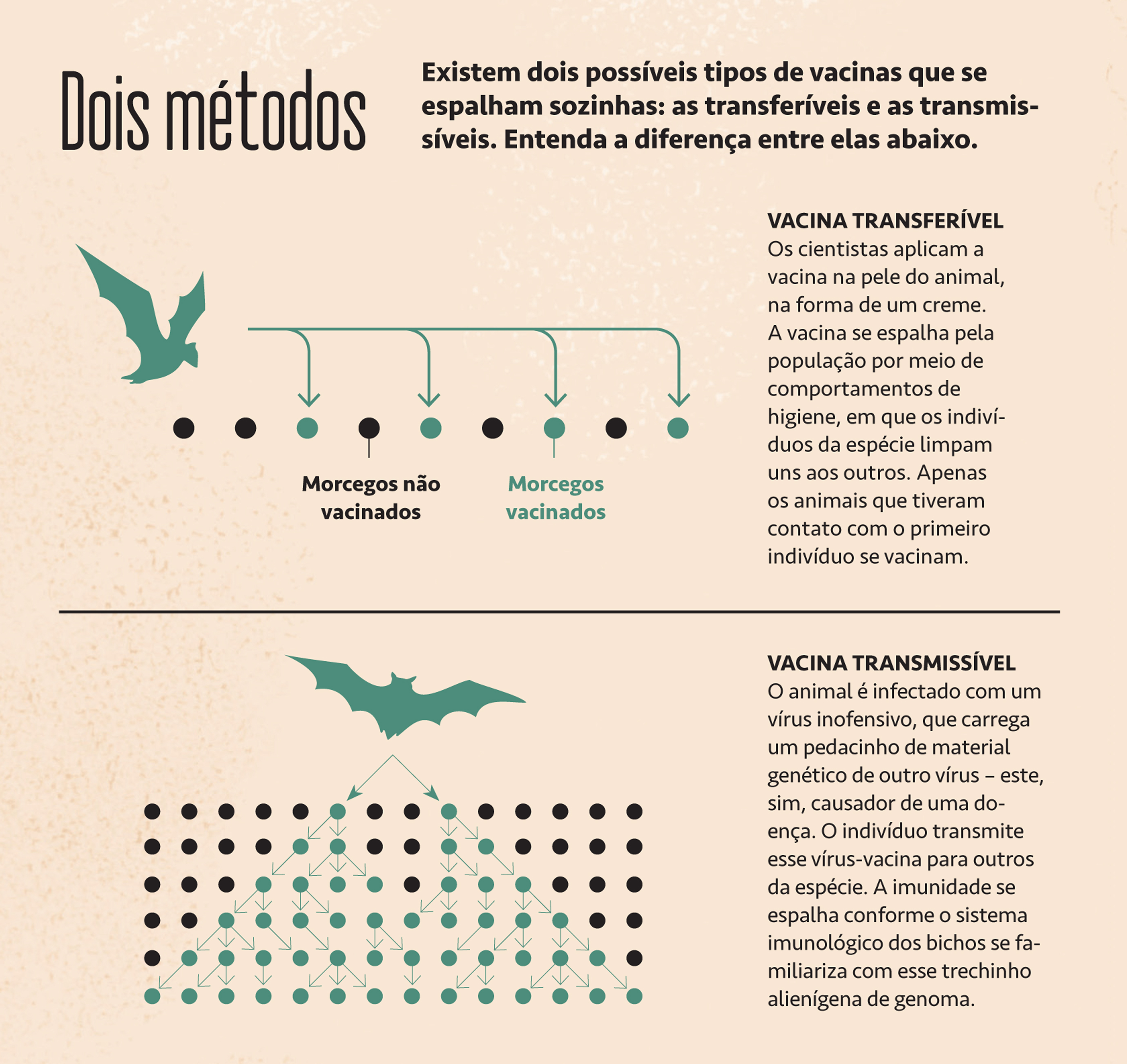 Infogr&aacute;fico explicando dois m&eacute;todos de vacina&ccedil;&atilde;o.