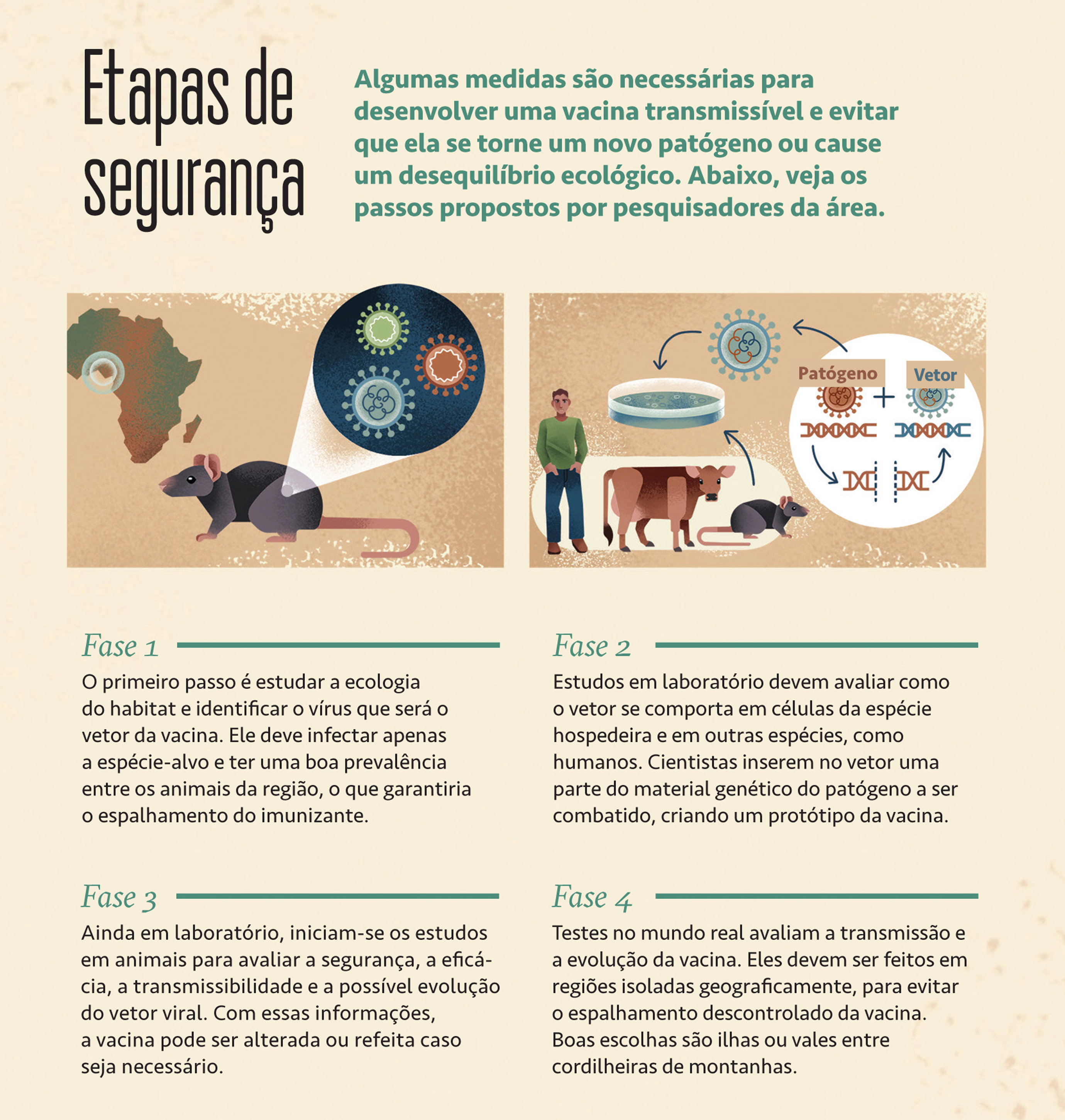 Infogr&aacute;fico explicando as etapas de seguran&ccedil;a no sistema de vacina&ccedil;&atilde;o.