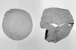 Imagem ilustrativa da degradação de polietileno por microrganismos desenvolvidos pelo grupo de pesquisa. À esquerda, plástico-controle, incubado em tampão. À direita, o mesmo plástico submetido à ação de microrganismos.