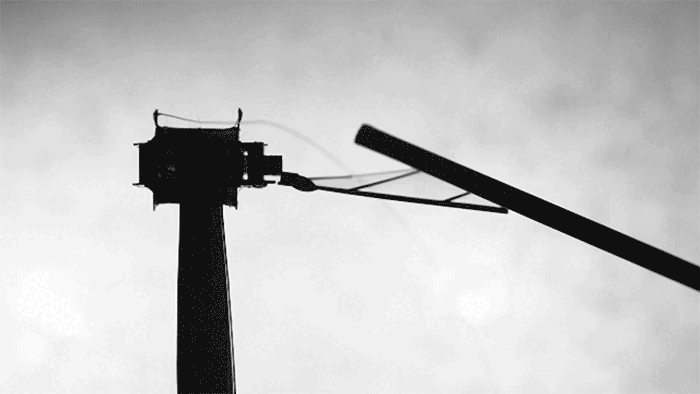 1302_Inedita-MIT_1 Gif mostrando a asa de um mosquito-robô.