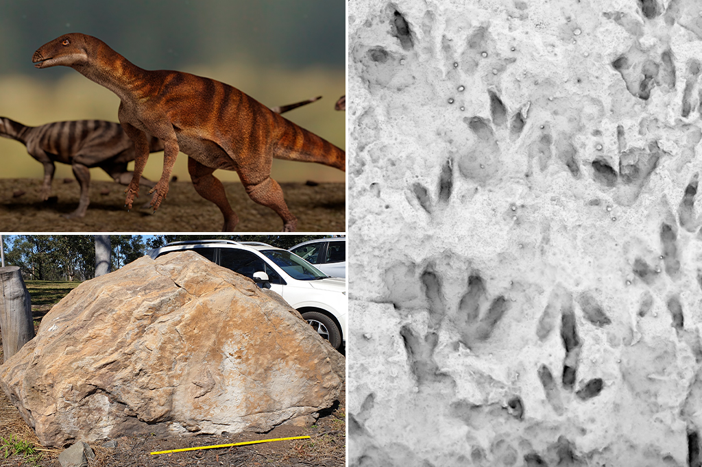 Dezenas de pegadas de dinossauros são encontradas em escola australiana