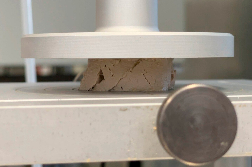 Nova técnica permite fabricação de foie gras sem alimentação forçada