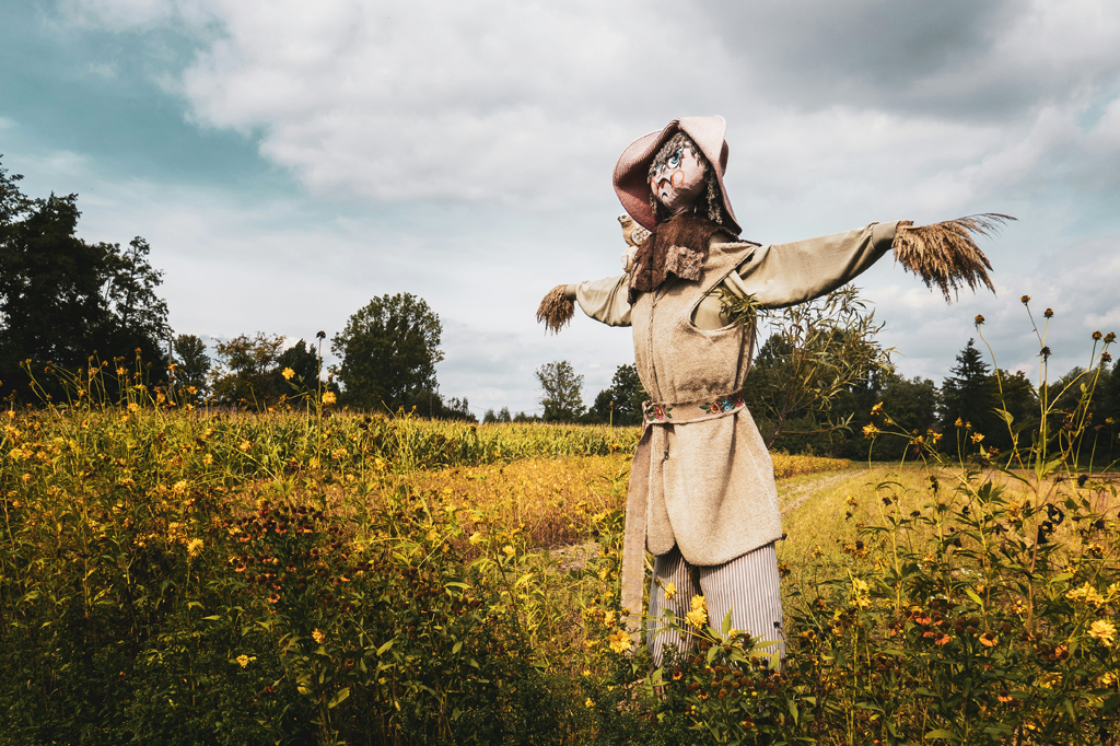 Espantalhos realmente funcionam?