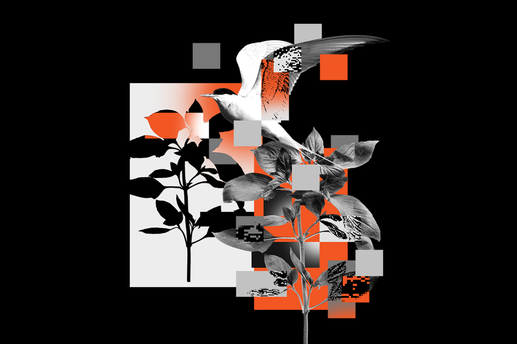 O que é a biologia quântica – e como ela explica a fotossíntese