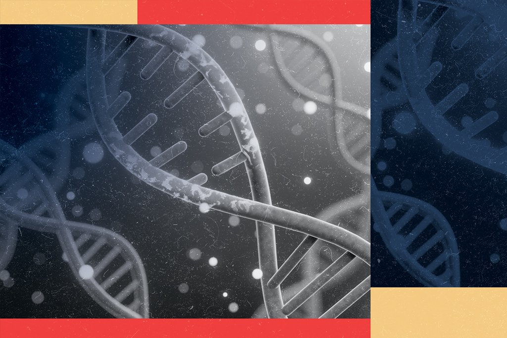 Traumas podem deixar marcas no DNA