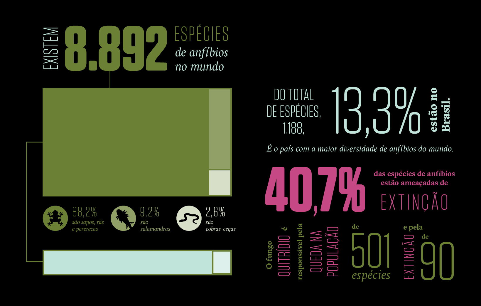 Pequeno gr&aacute;fico, em fundo preto, com dados estat&iacute;sticos dos anf&iacute;bios no mundo.