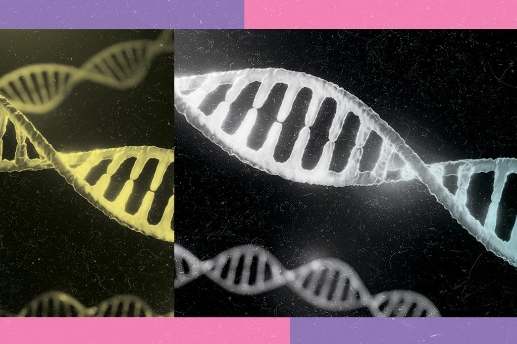 Não somos máquinas de sobrevivência