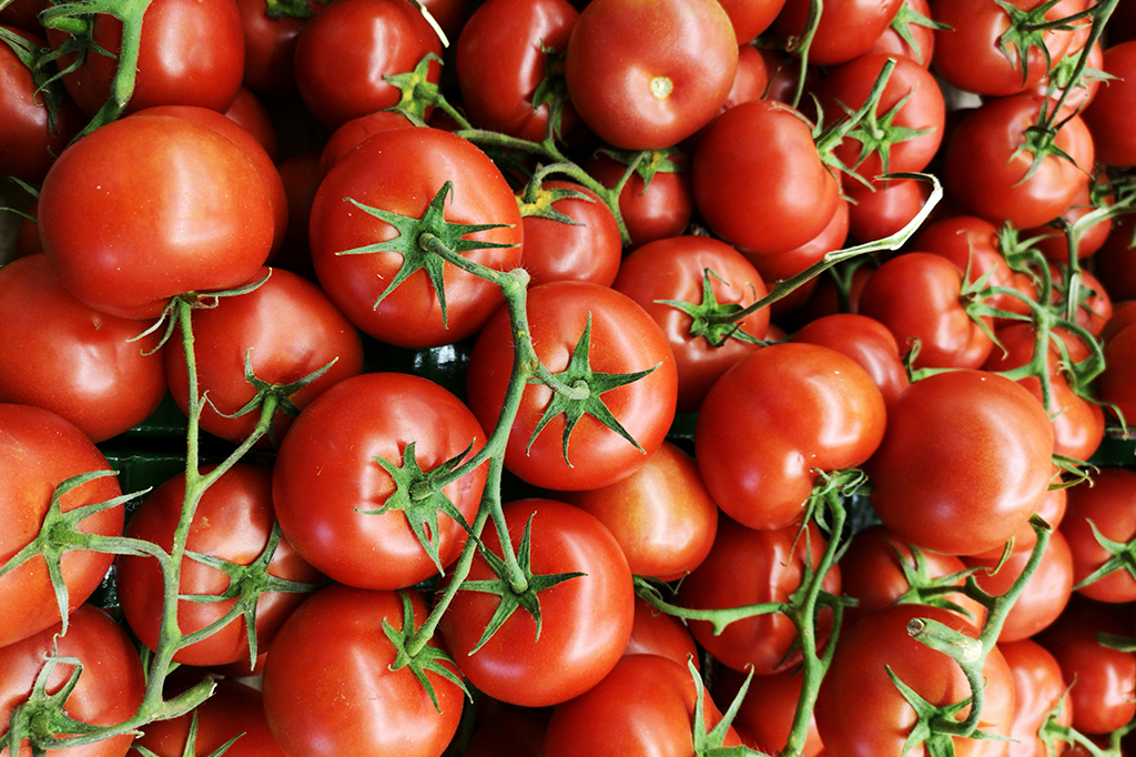 Tomates eram conhecidos como venenosos e fedorentos. Como isso mudou?